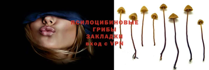 метадон Куйбышев